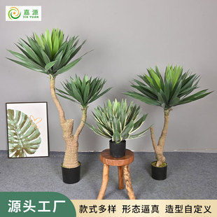 ����ܛ�z�Gֲ �殐����횘������ؼ٘��b��҃ȸ߶���Ѫ������