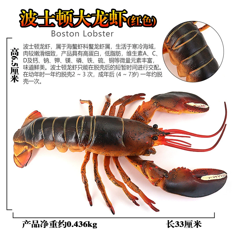Игрушка, большие морские когнитивные украшения