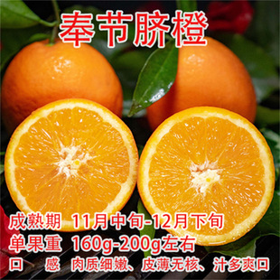 ��t֭���_��Ѫ����Ě�Ș���t������ӹ�����Ѫ�Ș�޽�Ѫ����