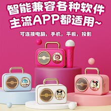 Disney/迪士尼蓝牙音箱家用K歌音响麦克风家庭KTV送儿童礼物