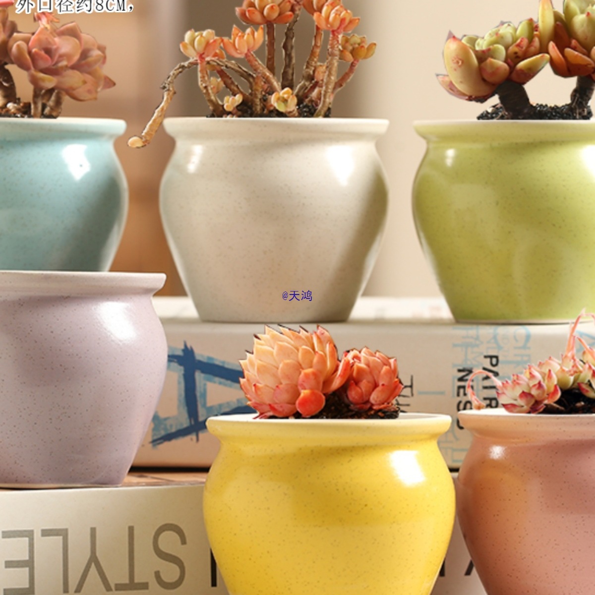 简约多肉花盆陶瓷小花盆创意桌面个性肉肉植物粗陶透气