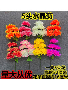��������Ĺ��Ʒ�ٻ����뻨���������ϻ�����Ȧ��������ǰĹ��