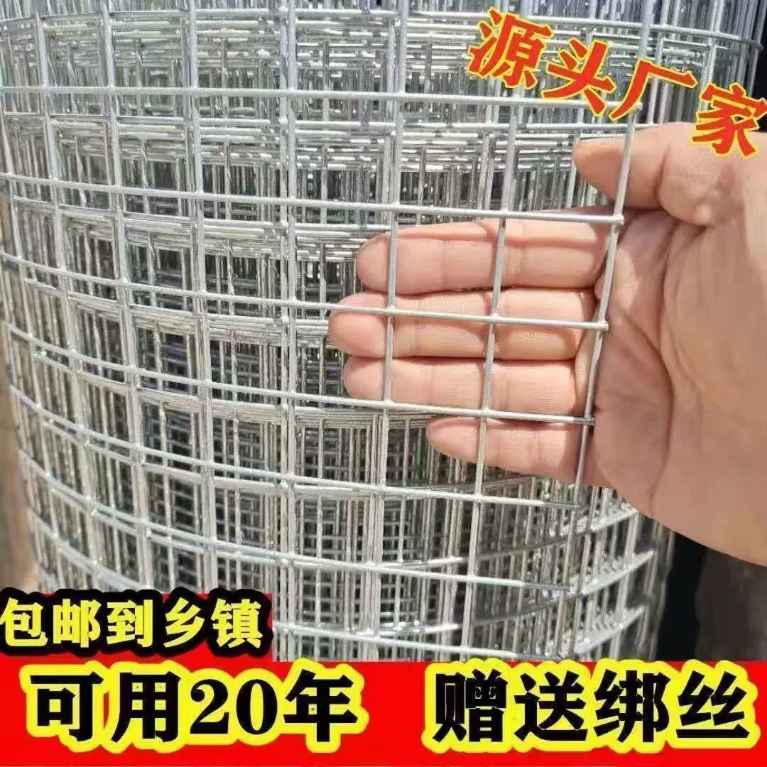 Galvanized iron wire protective fence net for raising chickens and ducks dedicated fencing net chicken enclosure inside and outside wall plastering welded wire mesh