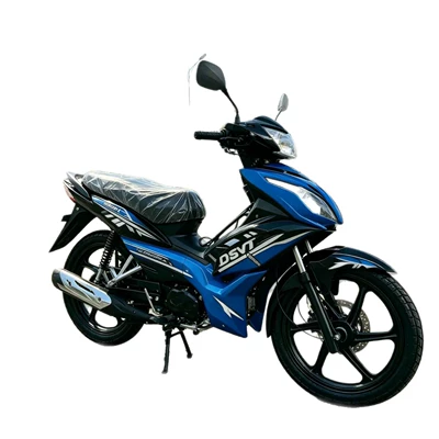 Conditions and Cross-Border Commuting, Motosikletlər