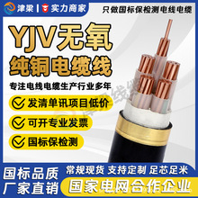 �ͻ�YJV��|��3/4/5о4/6/10ƽ��늾������~о���������|�Դ��