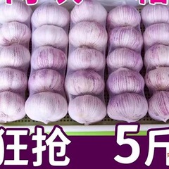 山東金祥紫皮ニンニク乾燥ニンニク 2.5kg 卸売 2023 新鮮なニンニク種子 5kg 農家ニンニク 1.5kg