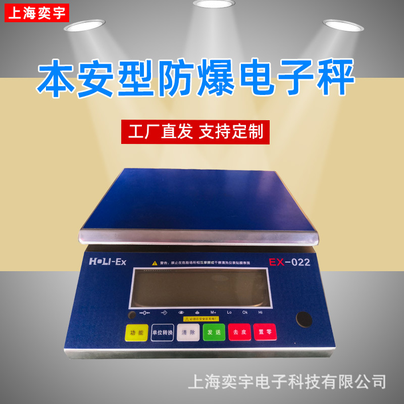 防爆电子秤