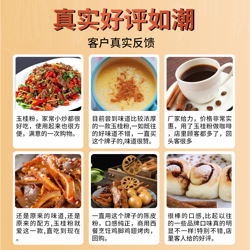 Wujia Chu Yugu Cinnamon Powder 400g Commercial Restaurant Cinnamon Powder Cassia Powder Seasoning Ingredient Cake Baking Wholesale