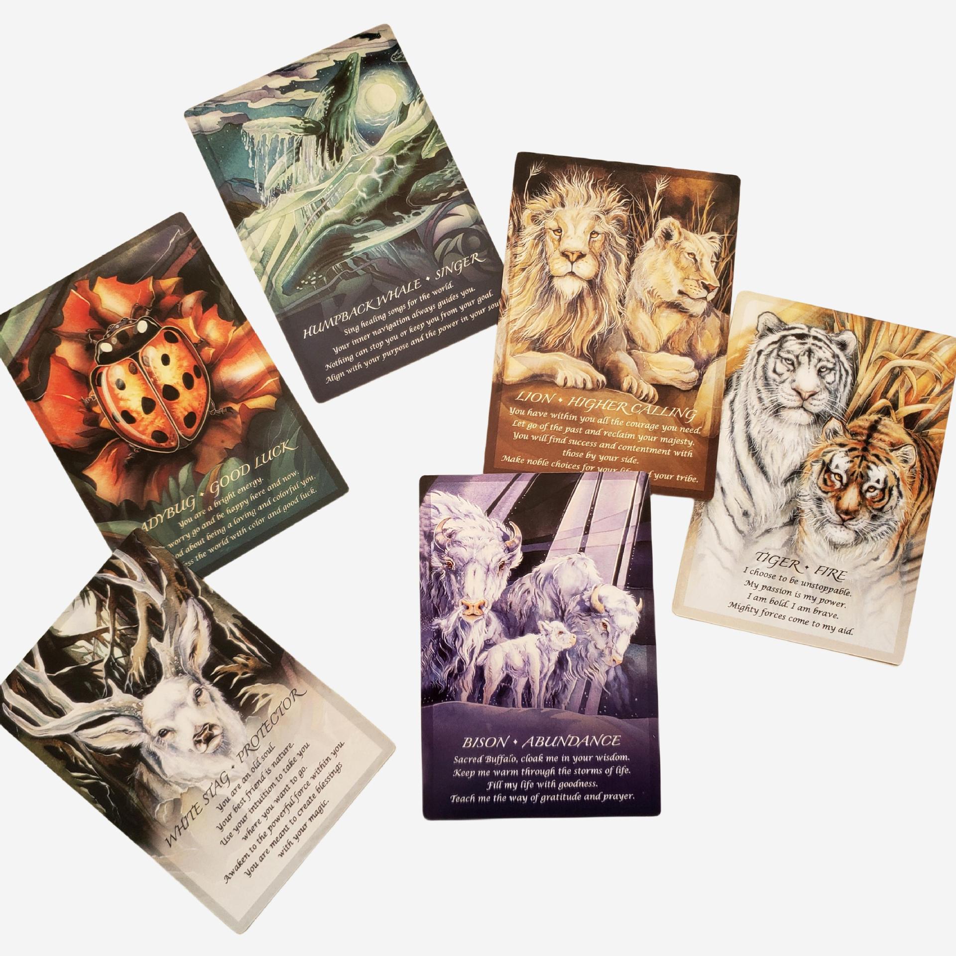 2023 Neues 12×7 Spirit Of The Animals Animal Soul Oracle Brettspiel-Spielkarten_voghion.com