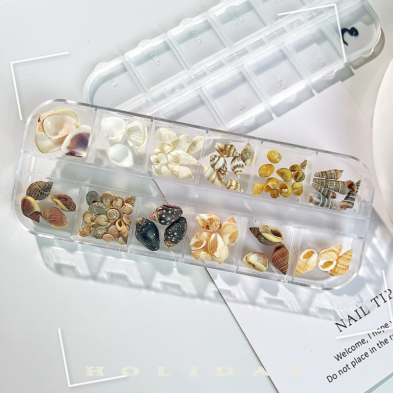 Venta caliente transfronteriza Tormenta marina joyería de uñas rebanadas de concha de estrella de mar natural rebanadas de abulón 12 rejilla mixta