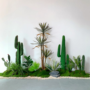 ����Gֲ�������쾰�M���҃�չ�d�ᎧɳĮ��ֲ�ﾰ�^�����F�����m