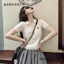 polo翻领t恤小衫女绝美麻花针织短袖夏季法式刺绣设计感上衣