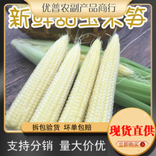 ���V�������׹S�����r�Fժ����С����о��������߲��r�ێ�Ƥ����