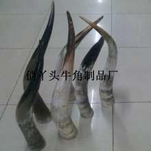 �ך�ţ�ǆνǔ[���ך�ţ������ţ�ǹ�ˇƷţ�����ӏS�Ҽӹ����l