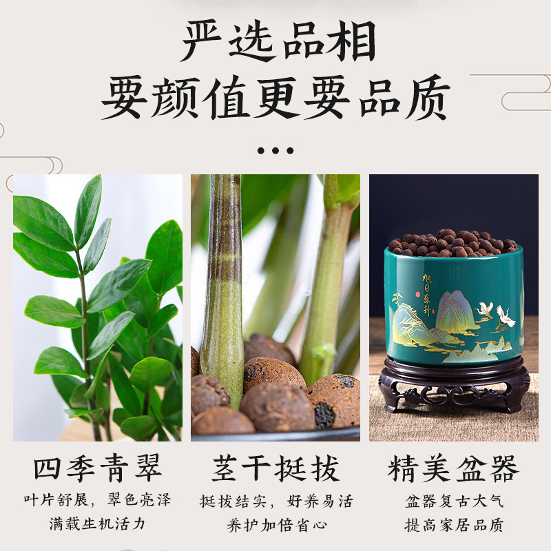 商品图