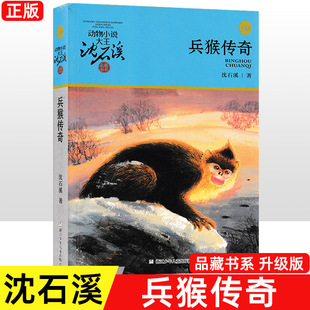 ������棨�����棩����С�f������ʯϪƷ�ؕ�ϵ�n����x��Ŀ