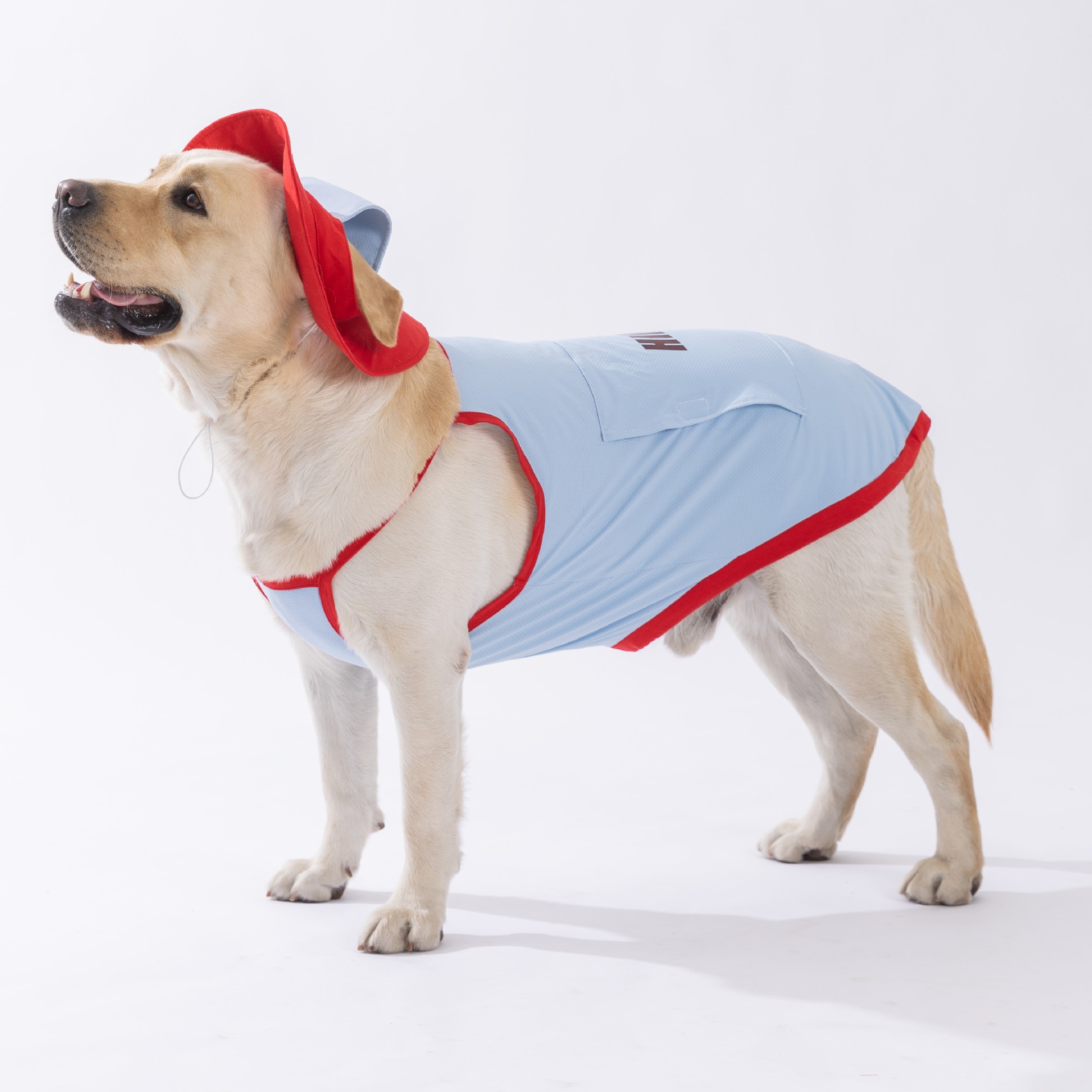 Perros de verano, perros medianos y grandes, ropa fresca y fresca, traje con capucha, chaleco para perros Golden Retriever Satsuma, ropa para perros