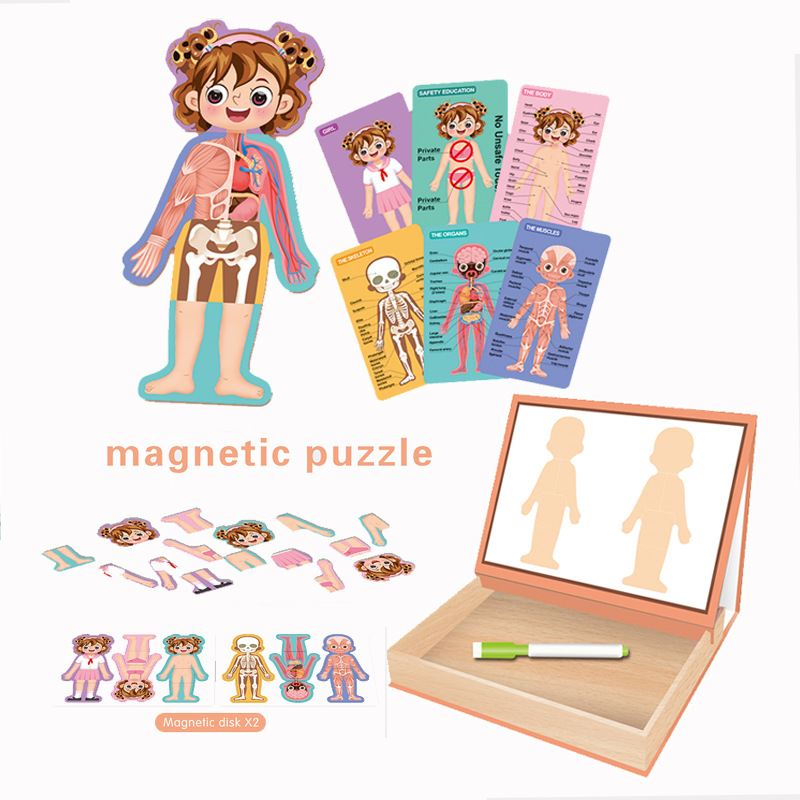 Qizhi de los niños de educación temprana juguetes magnético plano rompecabezas de la muchacha combinación de la estructura del cuerpo libro del rompecabezas magnético