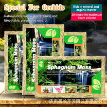 ʳ�xֲ��eˮ�P�挣�É��s��ˮ̦�mˇ���| �՚��P���{ݮ�������