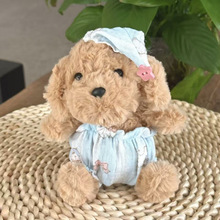 �������¿��������鹫��ϵ�а������ɐ�����С��Ů���Y�����l