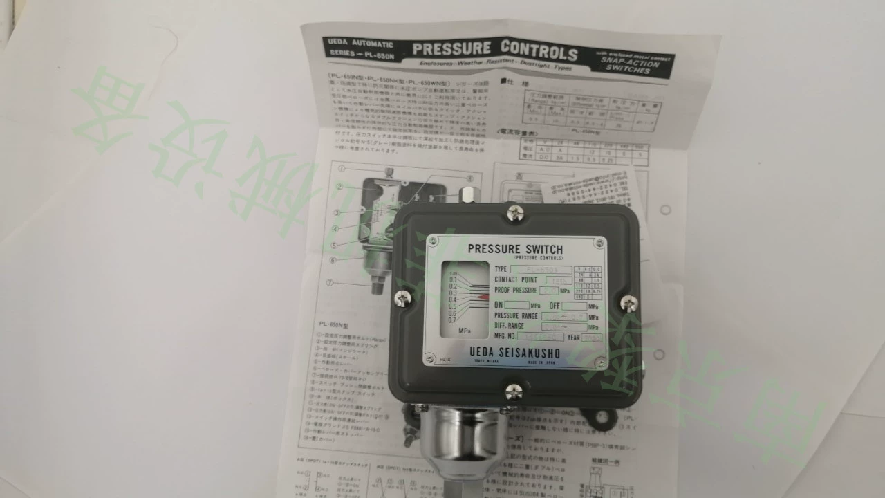 UEDAPM-606-R3SB indoor switch