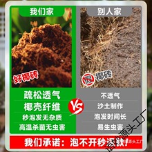 ��KҬ�u�I�B���B����Ҭ��Ҭ�����N�˴�Ҭ��Ү�u�����N������