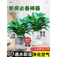 ���~��荾G�������Ԏ������G�}ˮ��ֲ���҃Ȼ�������Gֲ�ļ����B