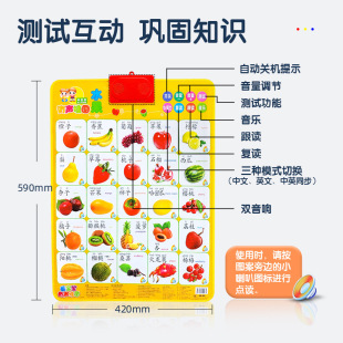 Cross-Border Popular Infants and Young Children Concave and Convex Cognitive Vegetables Enlightenment Learning Children's Pronunciation Audio Wall Chart Manufacturer