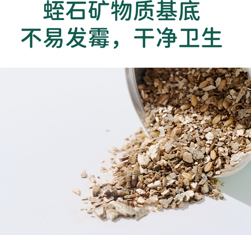 Cattail cat grass can opener lazy planting cat grass pot wheat seeds hairball catnip pet cat snacks wholesale dropshipping