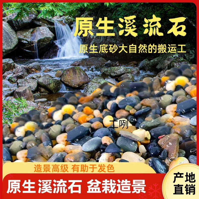 Струя камня, галька, дождь, цветок, камень, оригинальный белый камень, аквариум, ландшафтный дизайн, цветочный горшок, родной песчаник, двор