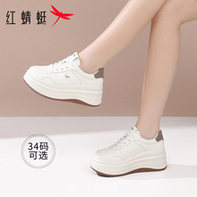 �t����ŮЬ2026�¿��\�����e��ЬŮ��ٴ�������С��Ь�p�����m