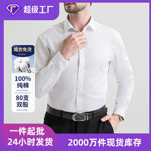 2026�����¿��DP���޳�����C���r�����̄��I�b�L���r�����l