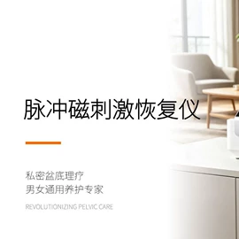 其他美容仪器;保健电器配件;康复理疗设备