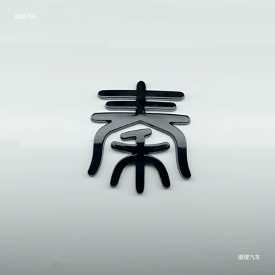 Car logo — front logo grille emblem, non-removable cover