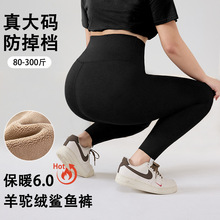 大码鲨鱼裤女冬季加绒胖mm300斤高腰收腹不掉档瑜伽健身打底紧身
