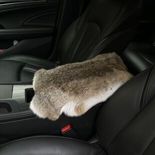 �¿�܇�d��������Ƥ��܇��ë������ë�q�W�t܇�ñ���������ɫ