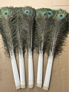 1000��110-120cm��ͨ؛��ȸ��ë����朽�