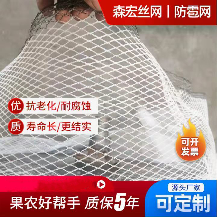 防鸟网全新汽车料农田抗氧化防防护网网冰雹加密园艺白色葡萄苹果