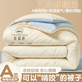 纤维枕;四件套;夏凉被