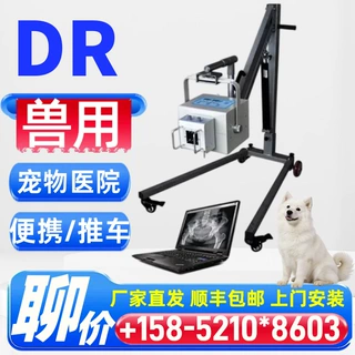 宠物用的dr机厂家 犬猫DR设备 便携式动物Dr机 兽医出诊用dR