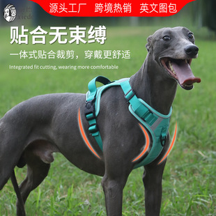 �羳�¿�ﹷ�����K����Ȯ�ñ���ʽ����Ȯ�K�Ӳ����ַ���l