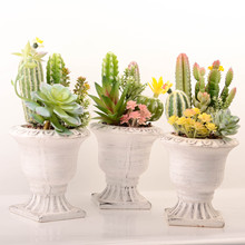 ���R�d�͹ŷ���Gֲ�մ���������� �ҾӾƵ��̨�󻨈@�Tǰ�b�