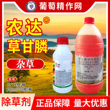 ������ɽ���r�_41%�ݸ���@�}���݄����������޻���@�s���߲�