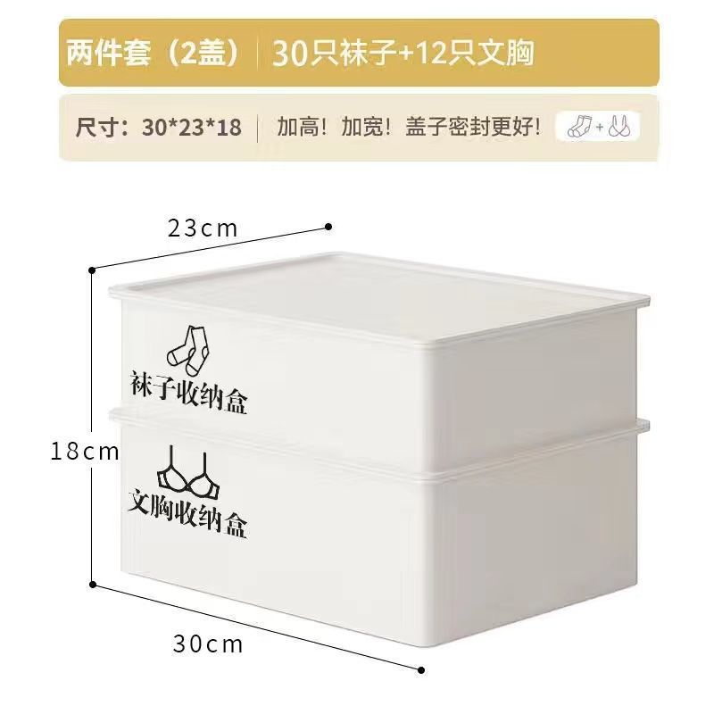 문라이트 화이트 [대용량+곰팡이방지, 방충] - 박스 2개 + 커버 2개 [속옷+양말] + 스티커