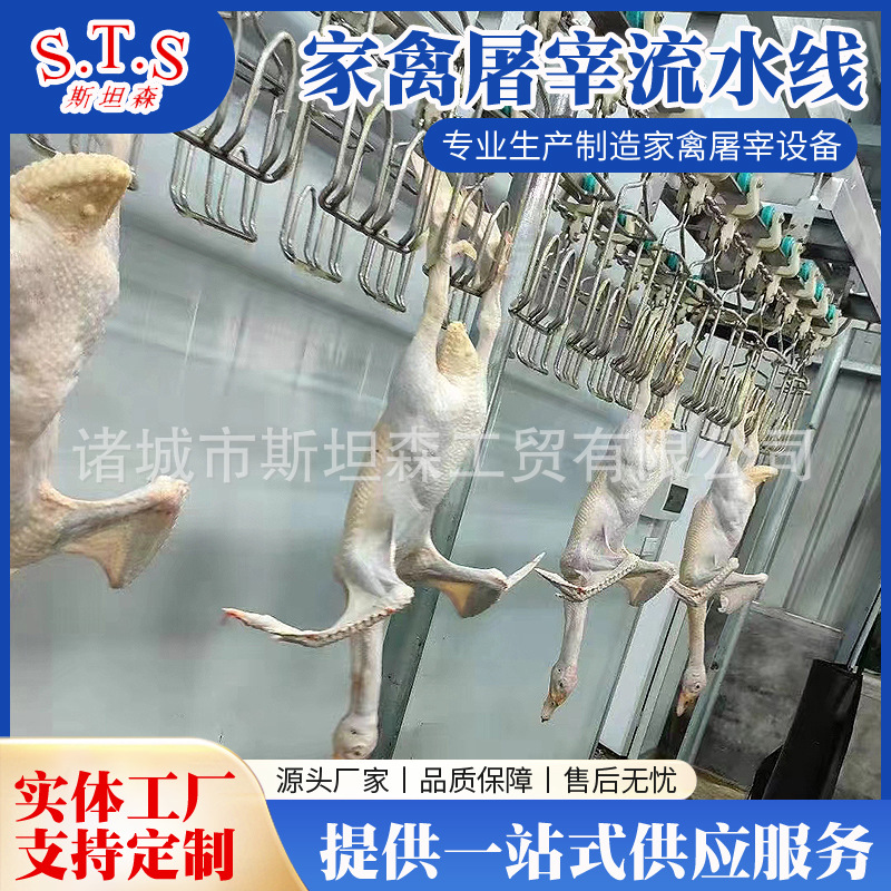小型宰鸭流水线 鸡鸭通用家禽屠宰流水线  自动鸭屠宰设备厂家
