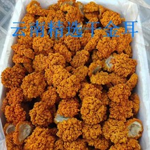 干金耳黄耳脑耳黄木耳干货煲汤食材云南特色食用菌山珍直销供应