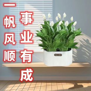 һ���L혻��ܾGֲ������ˮ������҃ȿ͏d�[����ĳȩ��̿������̿