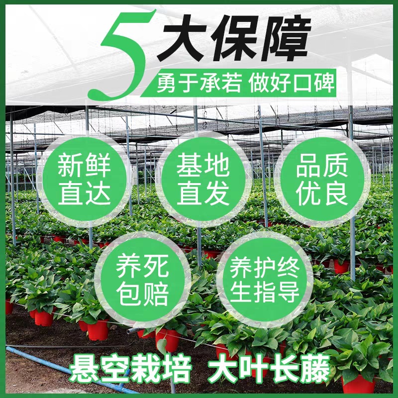 微信图片_202106162244471