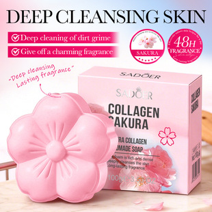 SADOER�ѻ��zԭ�����ֹ��������İ棩100g