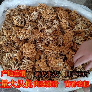 ���a��ֱ�l�����ﻬ�ӹ���؛���l ʳ�ľ����������˻���